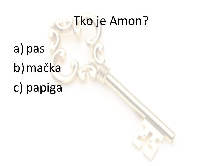 Tko je Amon? a) pas b) mačka c) papiga 