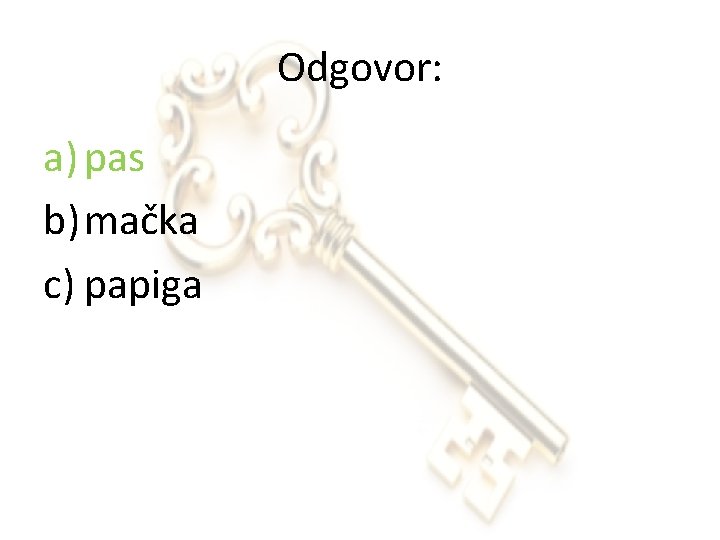 Odgovor: a) pas b) mačka c) papiga 