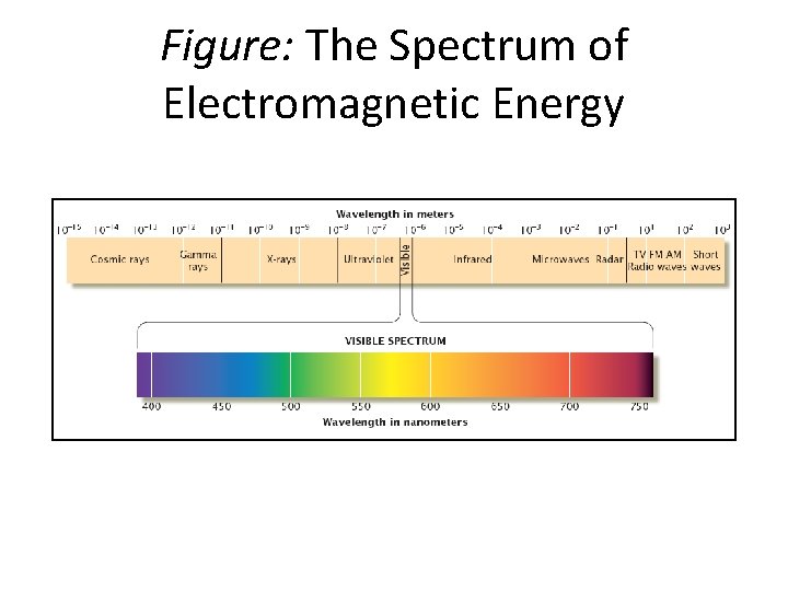 Figure: The Spectrum of Electromagnetic Energy 