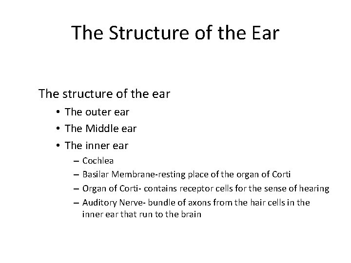 The Structure of the Ear The structure of the ear • The outer ear