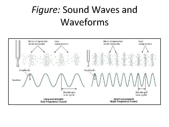 Figure: Sound Waves and Waveforms 