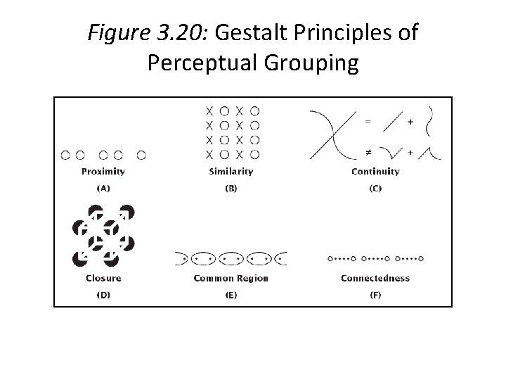 Figure 3. 20: Gestalt Principles of Perceptual Grouping 