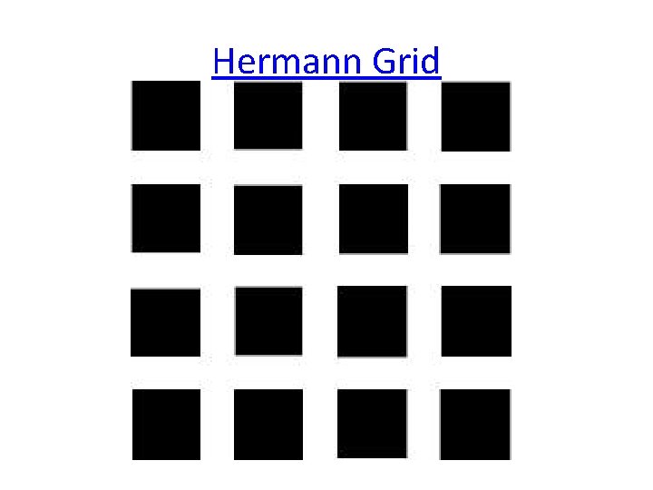 Hermann Grid 