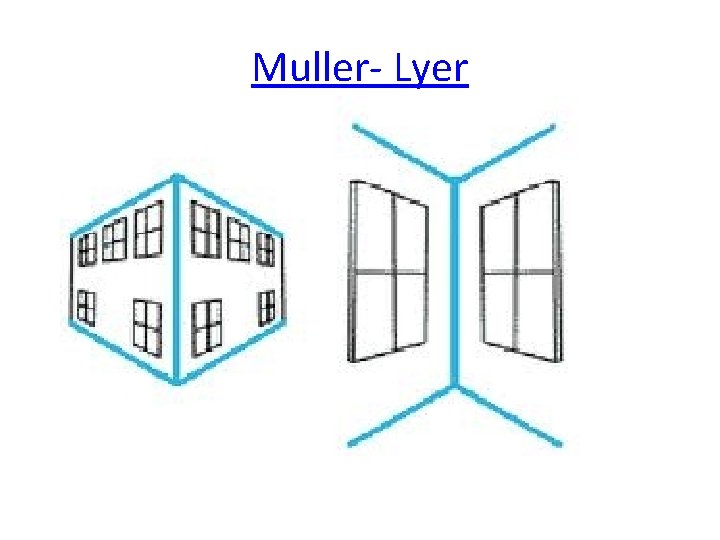 Muller- Lyer 