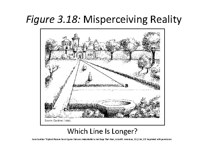 Figure 3. 18: Misperceiving Reality Which Line Is Longer? From Gardner "Optical Illusions from