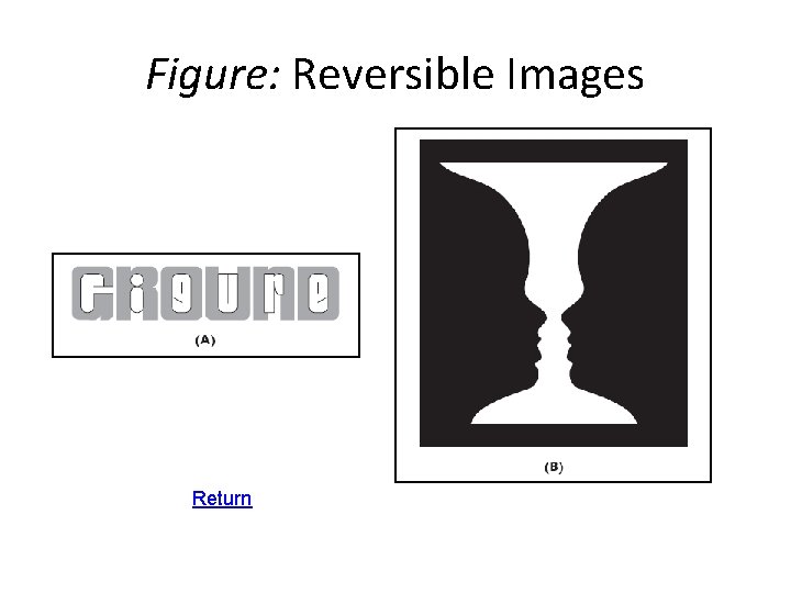 Figure: Reversible Images Return 