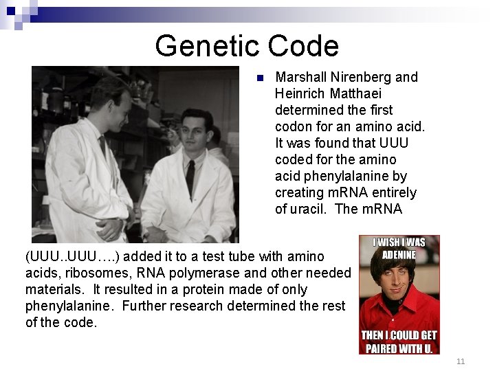 Genetic Code n Marshall Nirenberg and Heinrich Matthaei determined the first codon for an Genetic Code n Marshall Nirenberg and Heinrich Matthaei determined the first codon for an