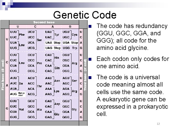 Genetic Code n The code has redundancy (GGU, GGC, GGA, and GGG); all code Genetic Code n The code has redundancy (GGU, GGC, GGA, and GGG); all code