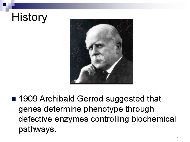 History n 1909 Archibald Gerrod suggested that genes determine phenotype through defective enzymes controlling History n 1909 Archibald Gerrod suggested that genes determine phenotype through defective enzymes controlling