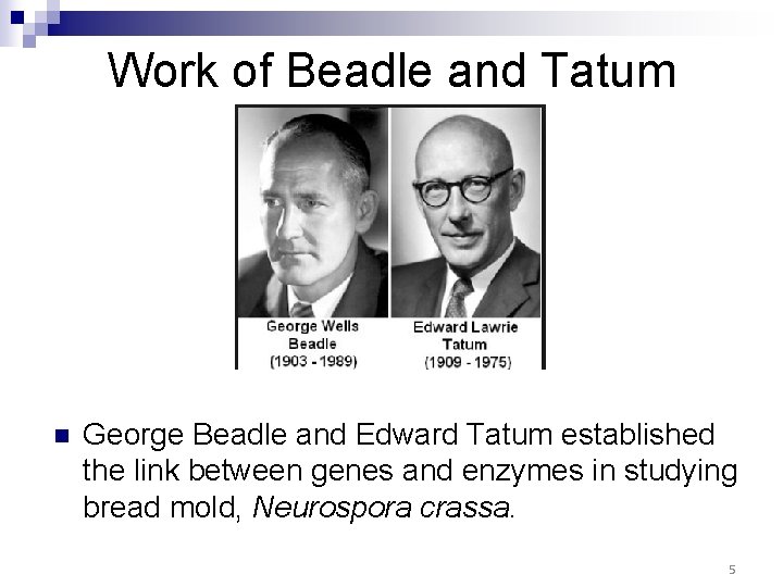 Work of Beadle and Tatum n George Beadle and Edward Tatum established the link Work of Beadle and Tatum n George Beadle and Edward Tatum established the link