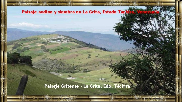 Paisaje andino y siembra en La Grita, Estado Táchira, Venezuela Paisaje Gritense - La