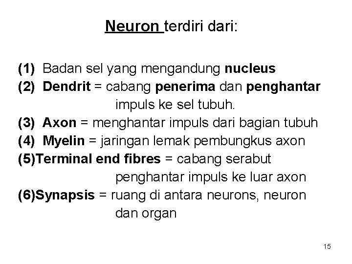 Neuron terdiri dari: (1) Badan sel yang mengandung nucleus (2) Dendrit = cabang penerima