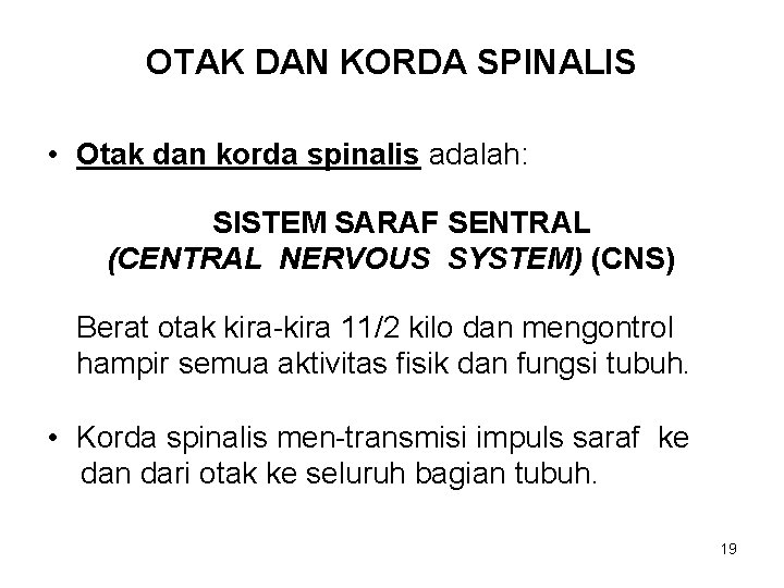 OTAK DAN KORDA SPINALIS • Otak dan korda spinalis adalah: SISTEM SARAF SENTRAL (CENTRAL