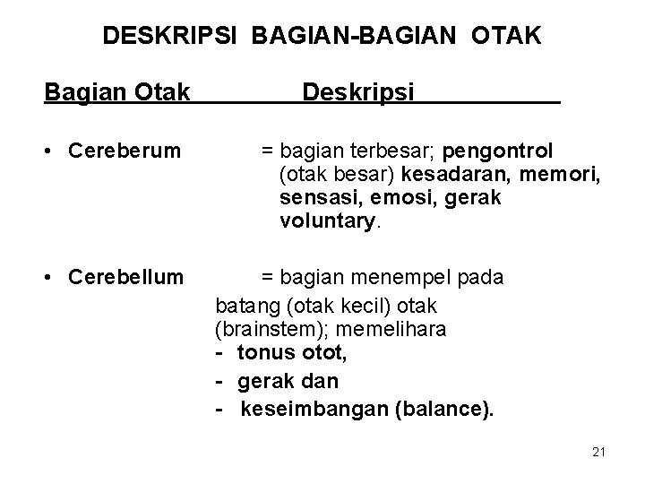 DESKRIPSI BAGIAN-BAGIAN OTAK Bagian Otak • Cereberum • Cerebellum Deskripsi = bagian terbesar; pengontrol