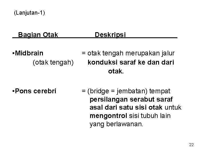 (Lanjutan-1) Bagian Otak Deskripsi • Midbrain (otak tengah) = otak tengah merupakan jalur konduksi