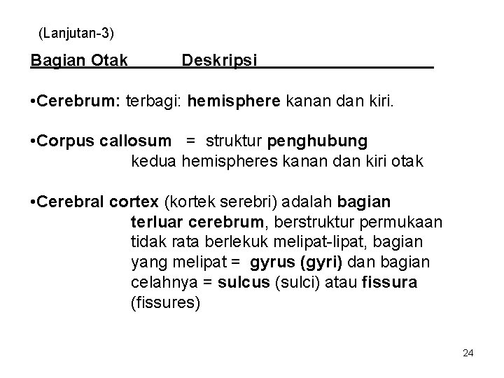 (Lanjutan-3) Bagian Otak Deskripsi • Cerebrum: terbagi: hemisphere kanan dan kiri. • Corpus callosum