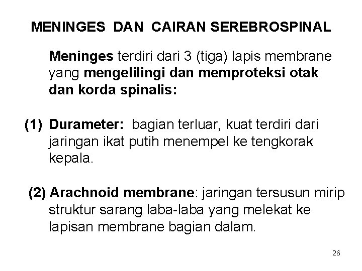 MENINGES DAN CAIRAN SEREBROSPINAL Meninges terdiri dari 3 (tiga) lapis membrane yang mengelilingi dan