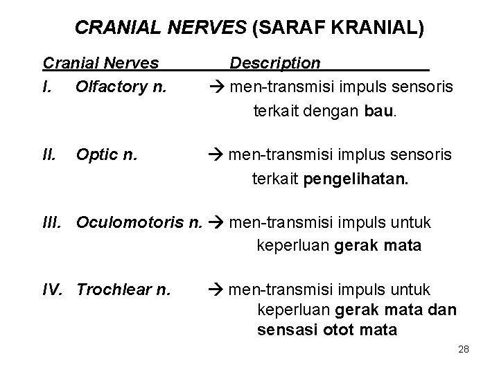 CRANIAL NERVES (SARAF KRANIAL) Cranial Nerves I. Olfactory n. Description men-transmisi impuls sensoris terkait