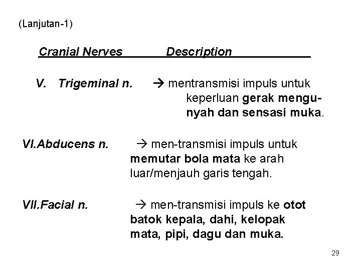 (Lanjutan-1) Cranial Nerves Description V. Trigeminal n. mentransmisi impuls untuk keperluan gerak mengunyah dan