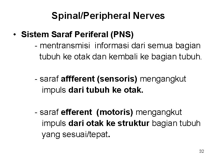 Spinal/Peripheral Nerves • Sistem Saraf Periferal (PNS) - mentransmisi informasi dari semua bagian tubuh