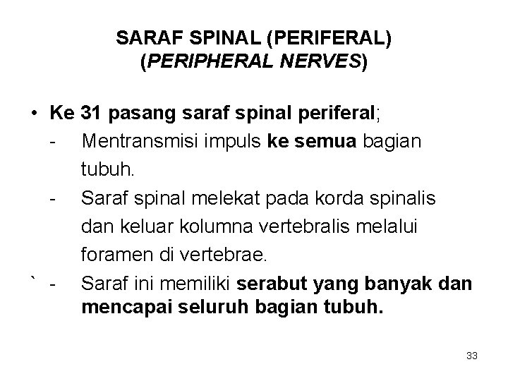 SARAF SPINAL (PERIFERAL) (PERIPHERAL NERVES) • Ke 31 pasang saraf spinal periferal; - Mentransmisi