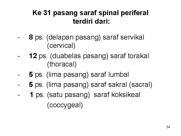 Ke 31 pasang saraf spinal periferal terdiri dari: - 8 ps. (delapan pasang) saraf