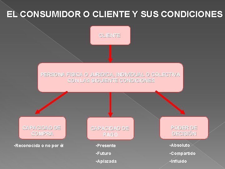  EL CONSUMIDOR O CLIENTE Y SUS CONDICIONES CLIENTE PERSONA FISICA O JURIDICA, INDIVIDUAL
