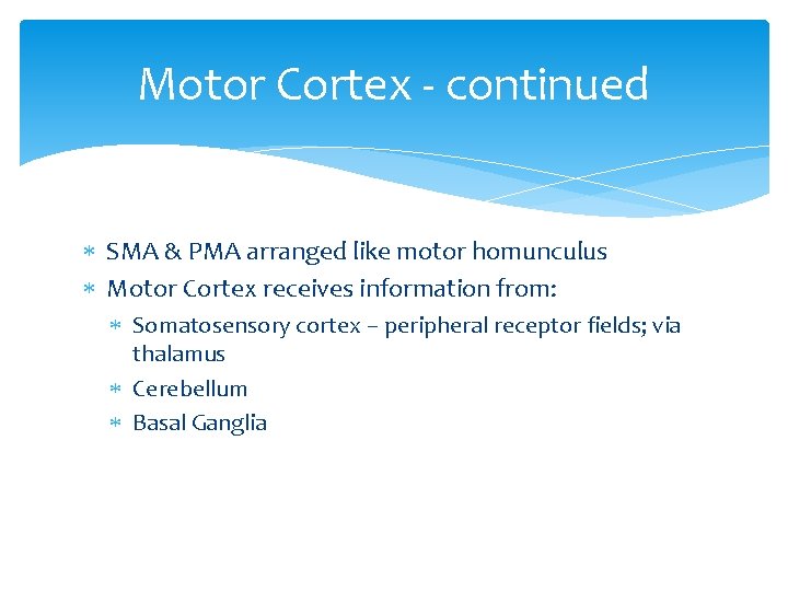 Motor Cortex - continued SMA & PMA arranged like motor homunculus Motor Cortex receives