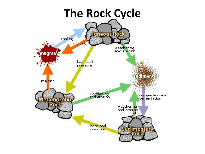 The Rock Cycle 