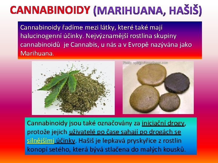CANNABINOIDY Cannabinoidy řadíme mezi látky, které také mají halucinogenní účinky. Nejvýznamější rostlina skupiny cannabinoidů
