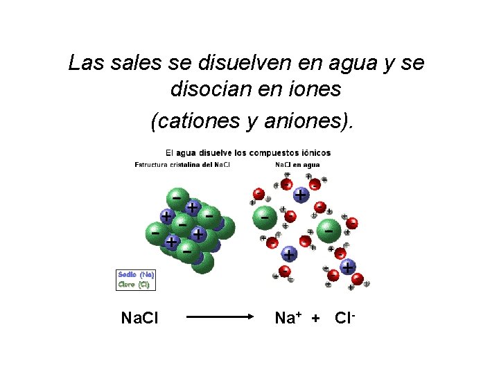 Las sales se disuelven en agua y se disocian en iones (cationes y aniones).