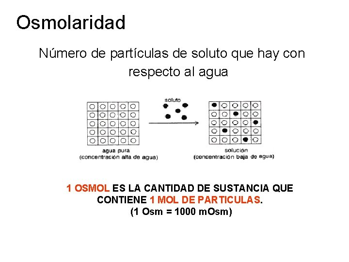 Osmolaridad Número de partículas de soluto que hay con respecto al agua 1 OSMOL