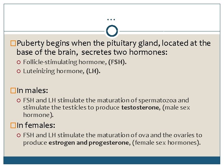 … �Puberty begins when the pituitary gland, located at the base of the brain,