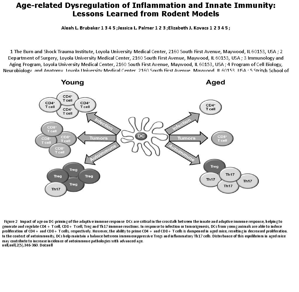 Age-related Dysregulation of Inflammation and Innate Immunity: Lessons Learned from Rodent Models Aleah L.