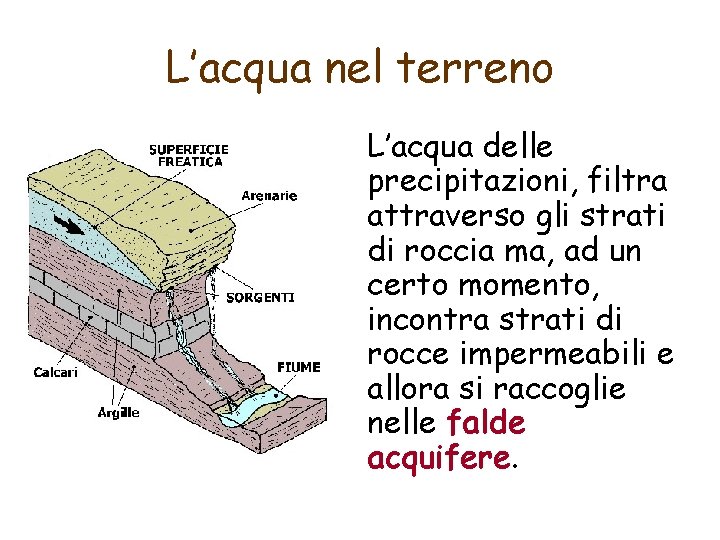 L’acqua nel terreno L’acqua delle precipitazioni, filtra attraverso gli strati di roccia ma, ad