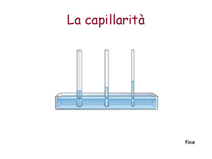 La capillarità fine 