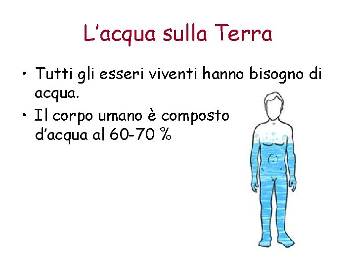 L’acqua sulla Terra • Tutti gli esseri viventi hanno bisogno di acqua. • Il