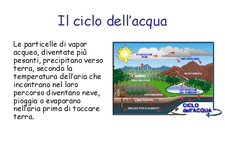 Il ciclo dell’acqua Le particelle di vapor acqueo, diventate più pesanti, precipitano verso terra,