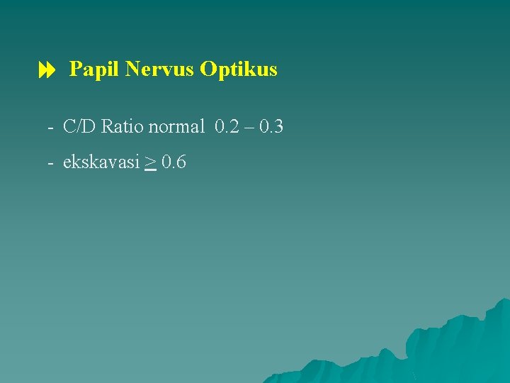  Papil Nervus Optikus - C/D Ratio normal 0. 2 – 0. 3 -