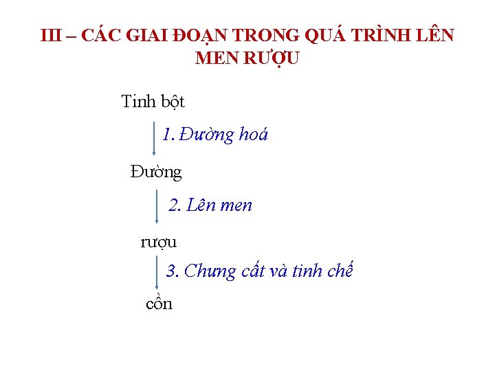 III – CÁC GIAI ĐOẠN TRONG QUÁ TRÌNH LÊN MEN RƯỢU Tinh bột 1.