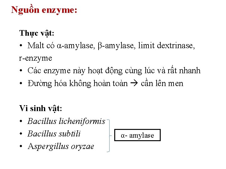 Nguồn enzyme: Thực vật: • Malt có α-amylase, β-amylase, limit dextrinase, r-enzyme • Các