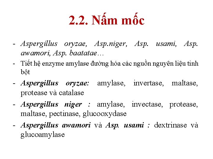 2. 2. Nấm mốc - Aspergillus oryzae, Asp. niger, Asp. usami, Asp. awamori, Asp.