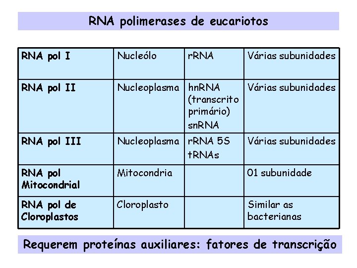 RNA polimerases de eucariotos RNA pol I Nucleólo r. RNA Várias subunidades RNA pol