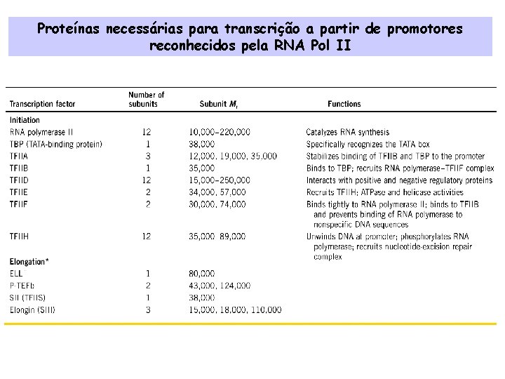 Proteínas necessárias para transcrição a partir de promotores reconhecidos pela RNA Pol II 