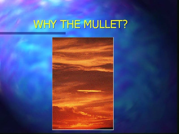 WHY THE MULLET? 