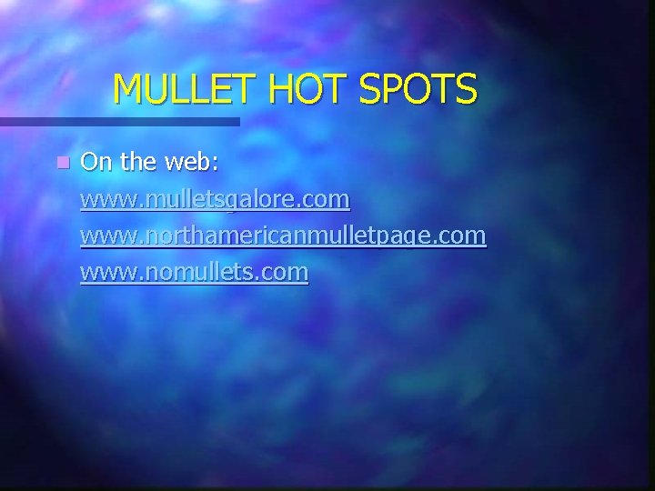 MULLET HOT SPOTS n On the web: www. mulletsgalore. com www. northamericanmulletpage. com www.