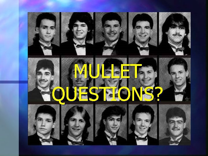 MULLET QUESTIONS? 