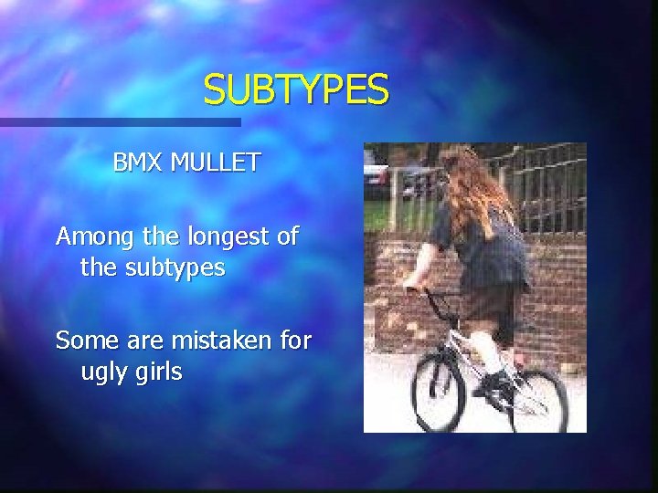 SUBTYPES BMX MULLET Among the longest of the subtypes Some are mistaken for ugly