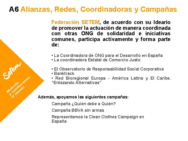 A 6 Alianzas, Redes, Coordinadoras y Campañas Federación SETEM, de acuerdo con su Ideario