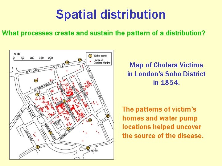 Spatial distribution What processes create and sustain the pattern of a distribution? Map of